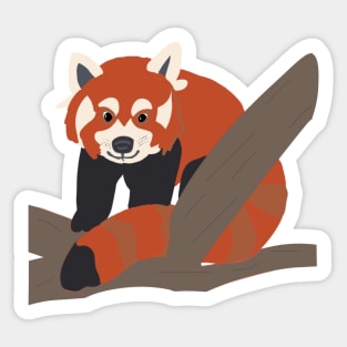 Red Panda Sticker